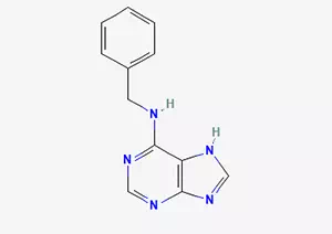 6-benzylaminopurine CAS 1214-39-7