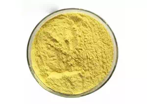 Yeast Extract CAS 8013-01-2