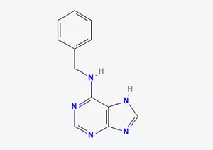 6-benzylaminopurine CAS 1214-39-7
