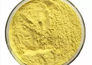 Yeast Extract CAS 8013-01-2