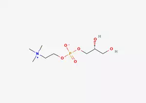 choline glycerophosphate CAS 28319-77-9 alpha GPC