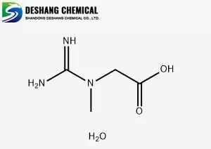 Bulk N-AMIDINOSARCOSINE MONOHYDRATE Powder Creatine Monohydrate Raw Material 25kg Drum